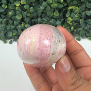 May include: A polished, spherical gemstone with a pink and white striped pattern. The stone has areas of gray and black. The gemstone is held in a hand, with a green leafy background.