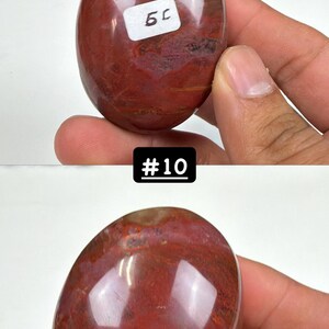 Petrified Wood Small Palm Stone | You Pick | Protection & Grounding #10