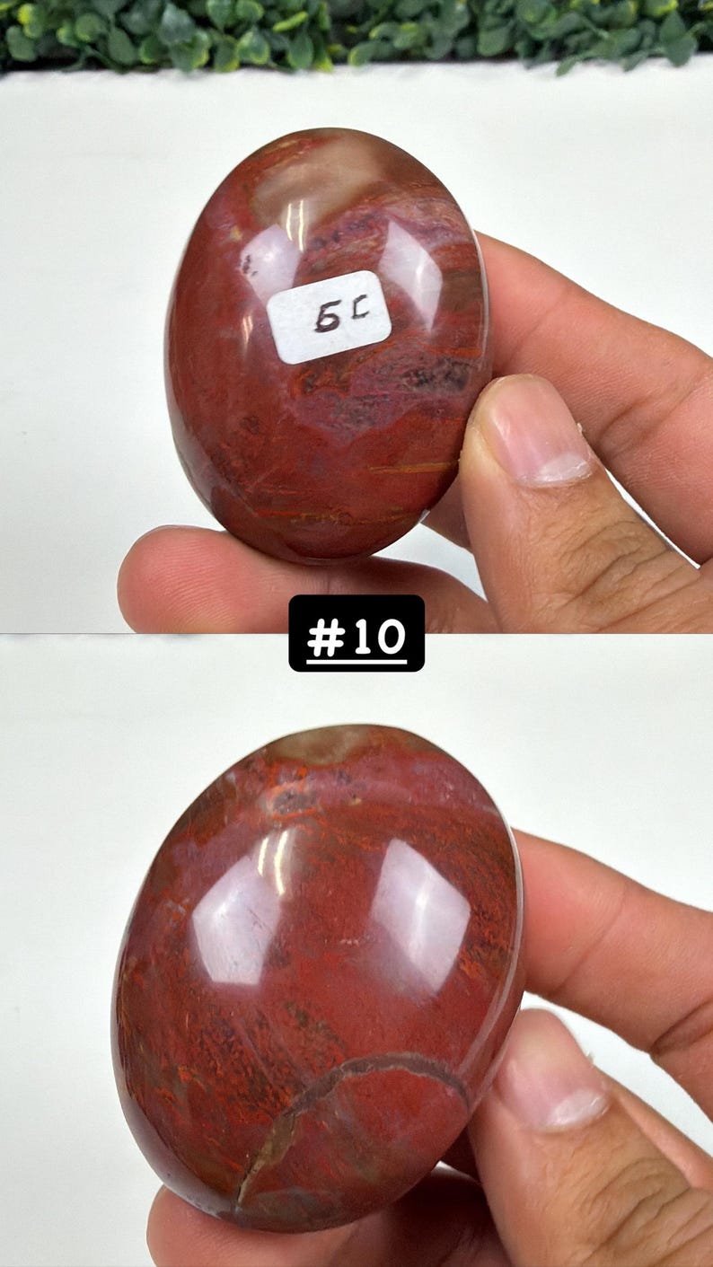 Petrified Wood Small Palm Stone | You Pick | Protection & Grounding #10