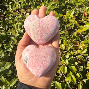 May include: Two heart-shaped pink stones with white and black marbling are held in a hand. The stones are smooth and polished, with a natural, organic appearance. The background is a lush green bush.