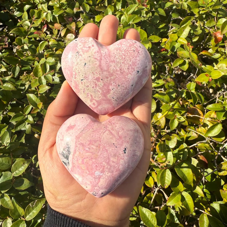 May include: Two heart-shaped pink stones with white and black marbling are held in a hand. The stones are smooth and polished, with a natural, organic appearance. The background is a lush green bush.