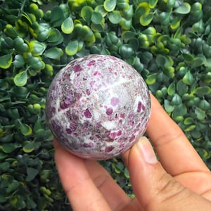 May include: A spherical gemstone with a speckled pattern of deep pink and white. The polished stone is held in a hand, showcasing its smooth, rounded form. The background is a dense arrangement of green leaves.