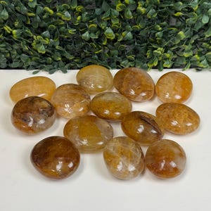 May include: A collection of polished, oval-shaped stones in shades of amber and brown. The stones vary in color and translucence, with some appearing more opaque and others more clear. The arrangement is on a white surface with a green leafy background.