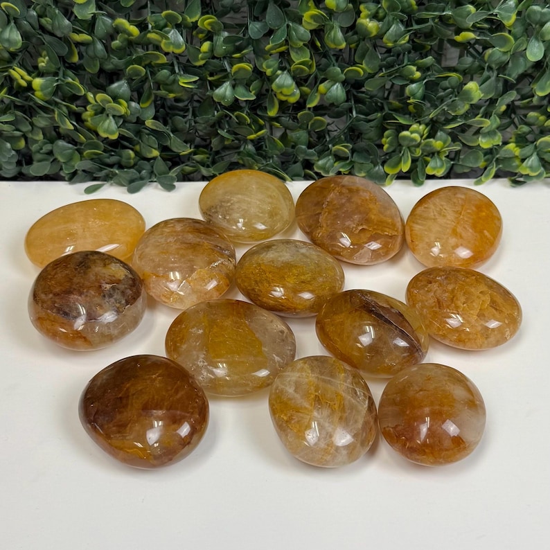 May include: A collection of polished, oval-shaped stones in shades of amber and brown. The stones vary in color and translucence, with some appearing more opaque and others more clear. The arrangement is on a white surface with a green leafy background.