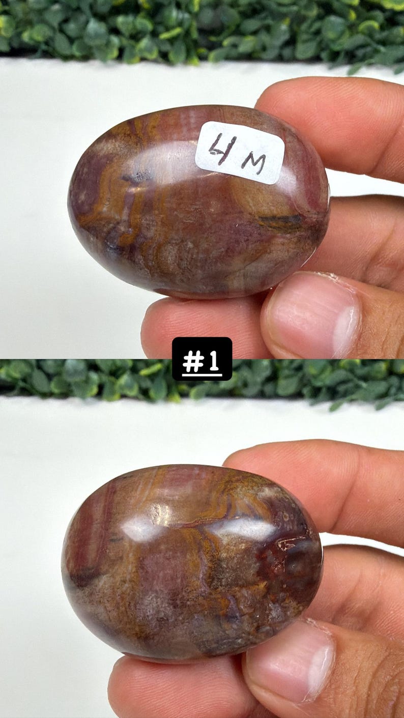 Petrified Wood Small Palm Stone | You Pick | Protection & Grounding #1