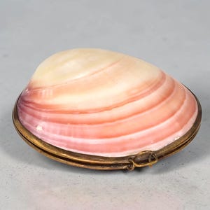 Op de afbeelding: Een scharnierend doosje in de vorm van een schelp met een glad, gepolijst oppervlak in kleurverlopen van crème, zachtroze en diep magenta. De houder is omlijst door een dunne, messingkleurige metalen rand met een kleine, geïntegreerde sluiting.