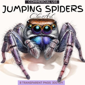 Spinnentier Käfer | Spinne Clip Art | Spinne Aquarell Clipart Bundle | Niedliche Realistische Spinne | Springende Spinne | Niedliches Käfer Png | Kommerzielle Nutzung