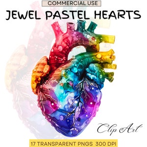 Juwel Ton Pastell menschliches Herz | Anatomie Clipart | Herz Clipart | Medizinische Grafiken | Anatomisches Herz | Ausdauer | Medizin Png | Kommerzielle Nutzung