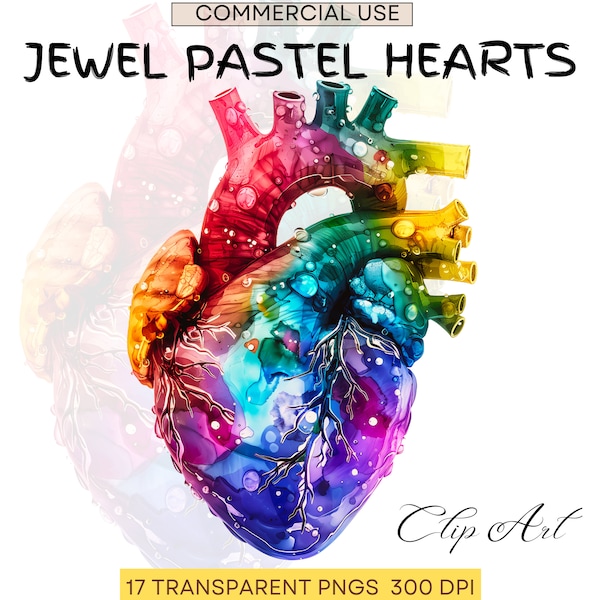 Jewel Tone Pastel Human Heart | Anatomy Clipart | Heart Clipart | Medical Graphics | Anatomic Heart | Cardio | Medical Png | Commercial Use