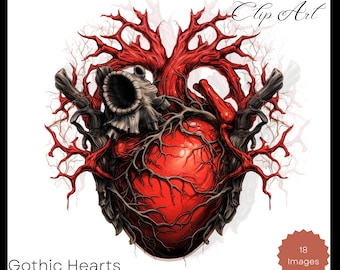Clipart di cuore con anatomia gotica: grafica PNG medica (uso commerciale)