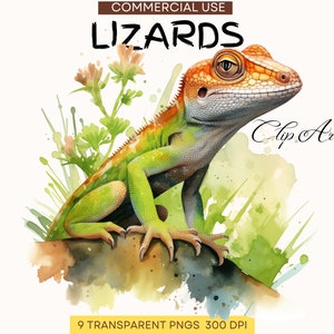 Reptile PNG | Herpetology Svg | Lizard Clipart | Lizard Wall Decor | Lizard Clip art | Chameleons | Digital Download | Commercial Use Design
