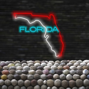 Neon Florida-bord, Neon Florida-kaartbord, Neonbord van Florida, Neonbord met kaart van Florida, Aangepast neonbord van Florida, Kaartverlichting van de staat Florida