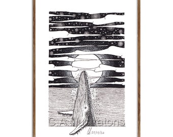 WALVIS//stempel, stampa giclée, illustrazione, beeldende kunst, disegno, bianco e nero, poster, cartolina, inchiostro, paesaggio, balena, animali