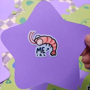Shrimp Me IRL Sticker Meme Vinyl Waterproof