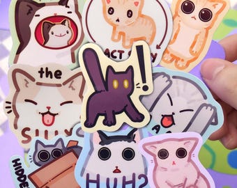 Silly Cat Memes Stickers