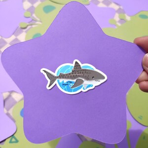May include: A purple star-shaped sticker featuring a cartoon tiger shark design. The shark is gray with dark spots and is set against a blue background with small fish. The sticker is held against a background with green and purple shapes.