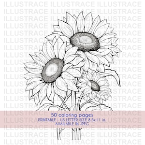 50 Flowers Coloring Pages, Adult Coloring Book, Coloring Sheet, Flower Coloring Pages, Large Print Coloring Book, Senior Coloring Pages