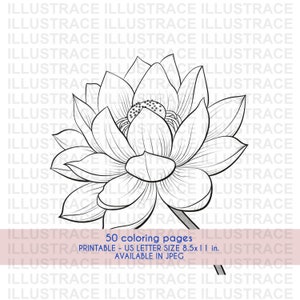 50 Flowers Coloring Pages, Adult Coloring Book, Coloring Sheet, Flower Coloring Pages, Large Print Coloring Book, Senior Coloring Pages