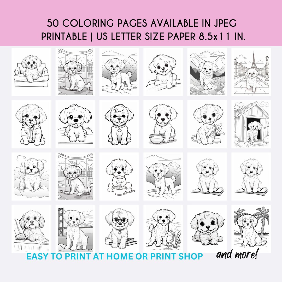 50 Maltipoo Dog Coloring Pages Maltipoo Coloring Book Etsy