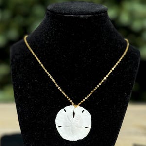 sand dollar pendant necklace