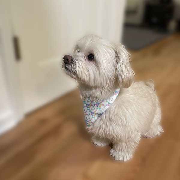 Small Dog Valentine's Day Pet Bandana in rainbow colors and candy hearts