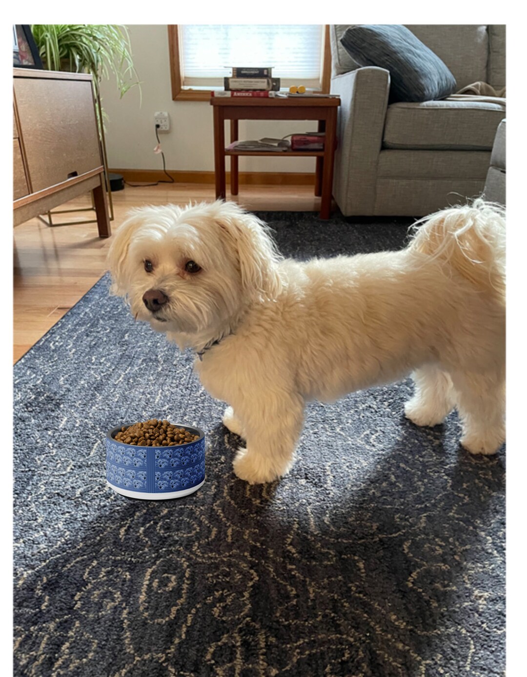 Havanese Faces and Stripes on Dog Bowl in Shades of Blue Etsy