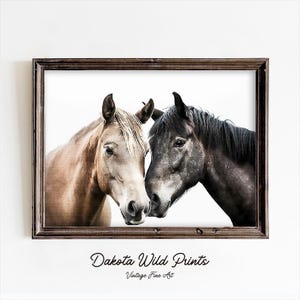 Rustic Horse Painting | Vintage Country Wall Art | Equestrian decor | Farmhouse Print | Horse lovers gift | Digital Download | PRINTABLE