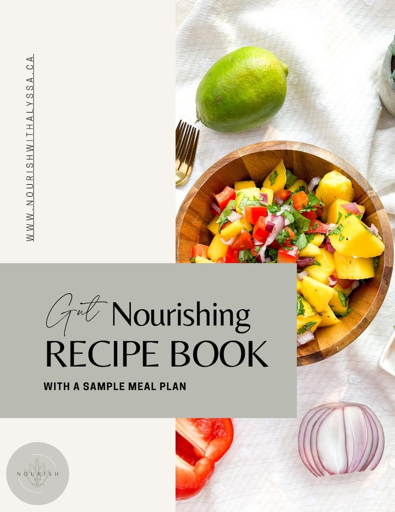Gut Nourishing Recipe Book Etsy