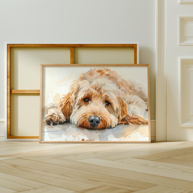 May include: A watercolor painting of a light brown dog with its head resting on the ground. The dog has a soft, fluffy coat and dark eyes. The painting is set against a white background.