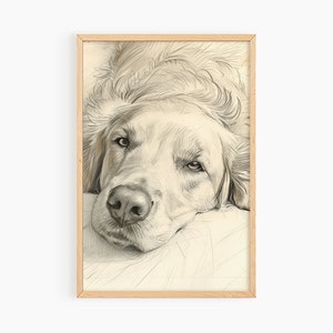 May include: A black and white pencil drawing of a golden retriever dog lying down with its head resting on a pillow. The dog's eyes are closed and its mouth is slightly open.