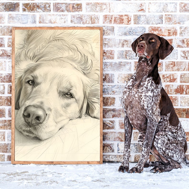 May include: A framed pencil drawing of a golden retriever dog with its head resting on its paws. The dog is looking to the right of the frame. A brown and white spotted dog is sitting to the right of the frame, looking at the drawing.