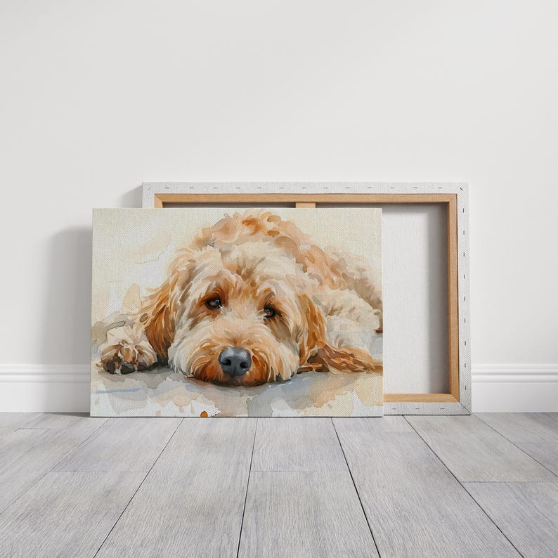 May include: A watercolor painting of a brown and white dog with curly fur lying down. The dog has its head resting on the ground and its eyes are closed.