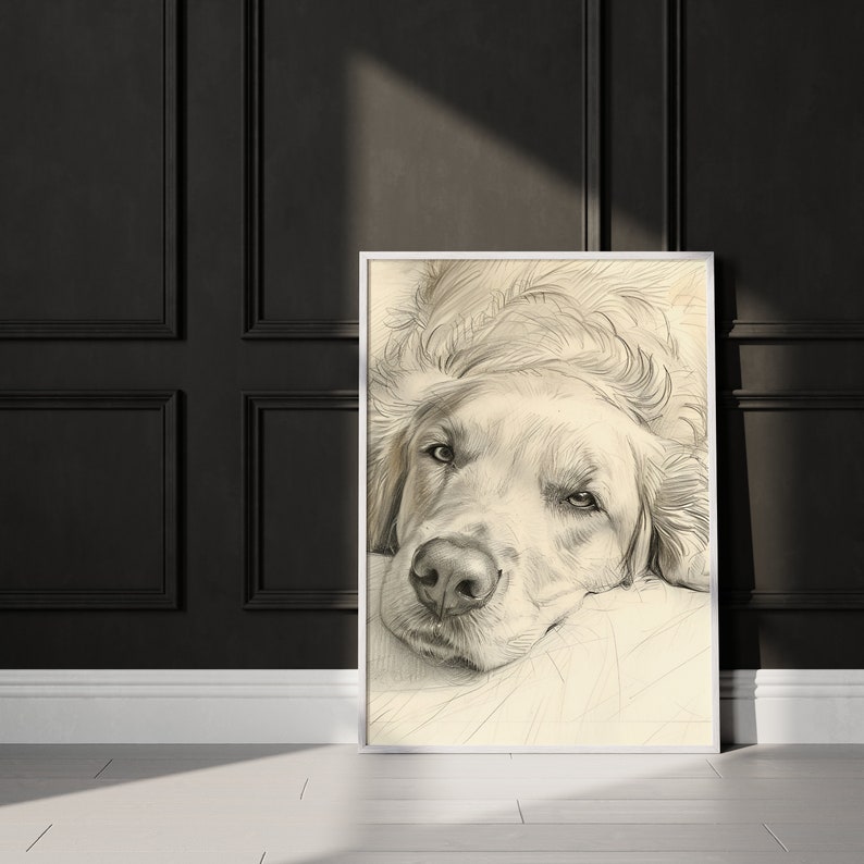 May include: A black and white pencil drawing of a golden retriever dog lying down with its head resting on its paws. The dog has a soft, gentle expression on its face.