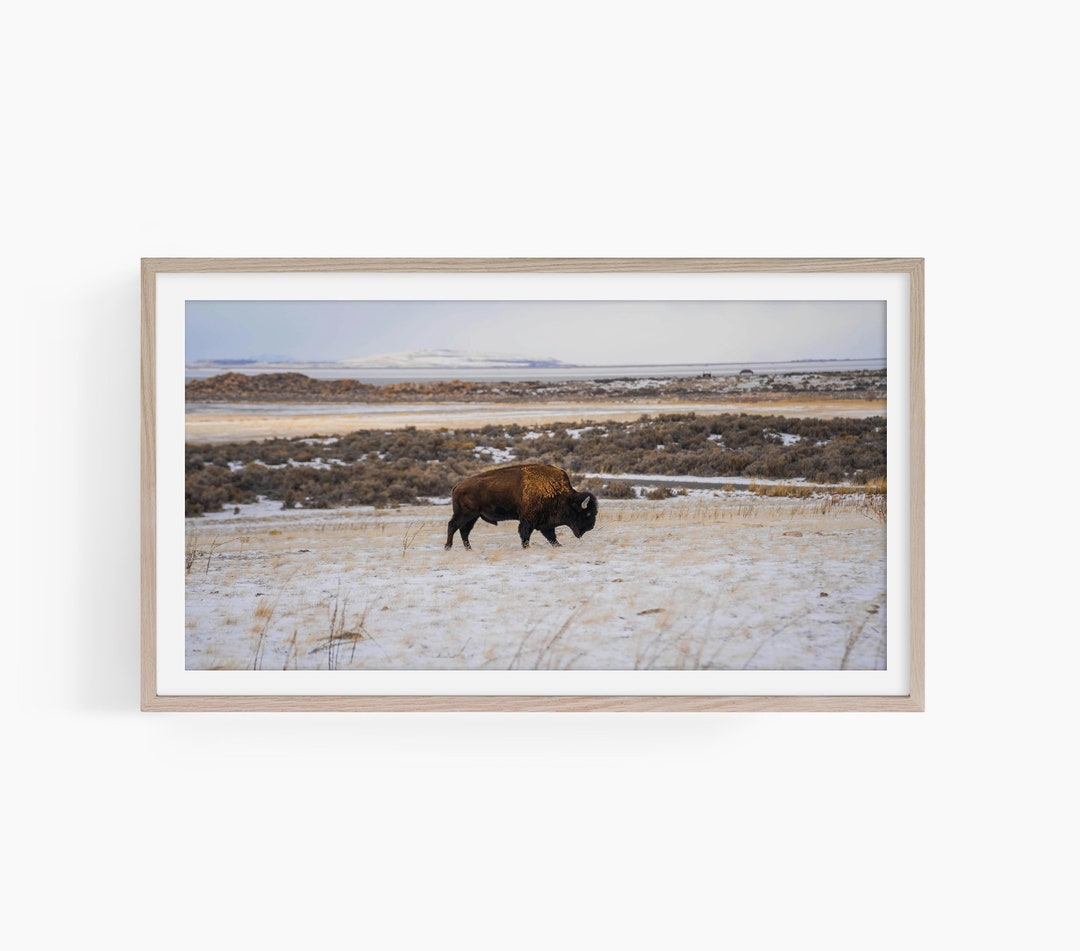 Samsung Frame Tv Art Buffalo, Farmhouse Decor Frame Tv Art, Buffalo ...