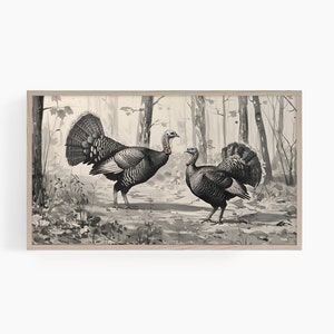 May include: A black and white illustration of two turkeys in a forest setting. The turkeys are facing each other, with their tails spread out. The background is a blurry image of trees and leaves.