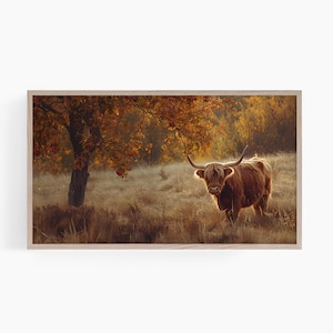 Highland Cow Frame Tv Art, Samsung Frame TV Art, Country Frame Tv Art, Highland Cow Digital TV Art, Farmhouse TV Art, Shaggy Cow Tv, T760