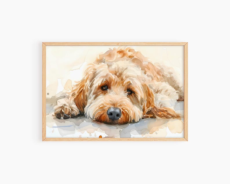 May include: A watercolor painting of a light brown dog with a fluffy coat, lying down with its head resting on the ground. The dog has a soft, gentle expression and its eyes are closed.