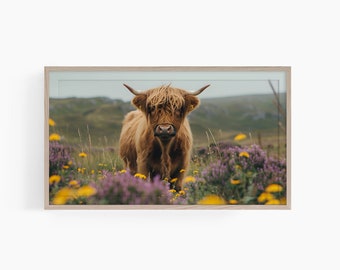 Highland Cow Frame TV Art, Samsung Frame TV Art Cow, Spring Farmhouse Decor, Digital Art for Tv, Spring Flowers Highland Cow, T416