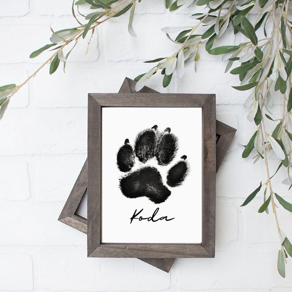 Kit Impronta Zampa Cane Navaris - Cornice Commemorativa Con Foto, Collare E Argilla - Foto 10