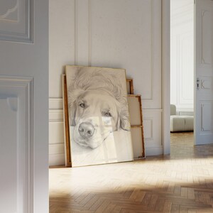 May include: A framed black and white pencil drawing of a golden retriever dog's head. The dog is lying down with its head resting on its paws. The drawing is in a gold frame and is hanging on a white wall.