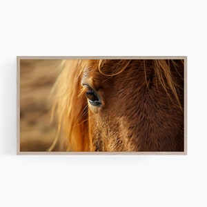 May include: Close-up of a brown horse's eye with a soft, golden brown coat and a few strands of mane.