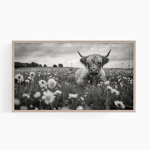Samsung Frame TV Art, Highland Cow Digital TV Art, Farmhouse Tv Art, Samsung Frame TV Cow Art, Country Frame Tv Art, Farm Cow Digital Tv Art