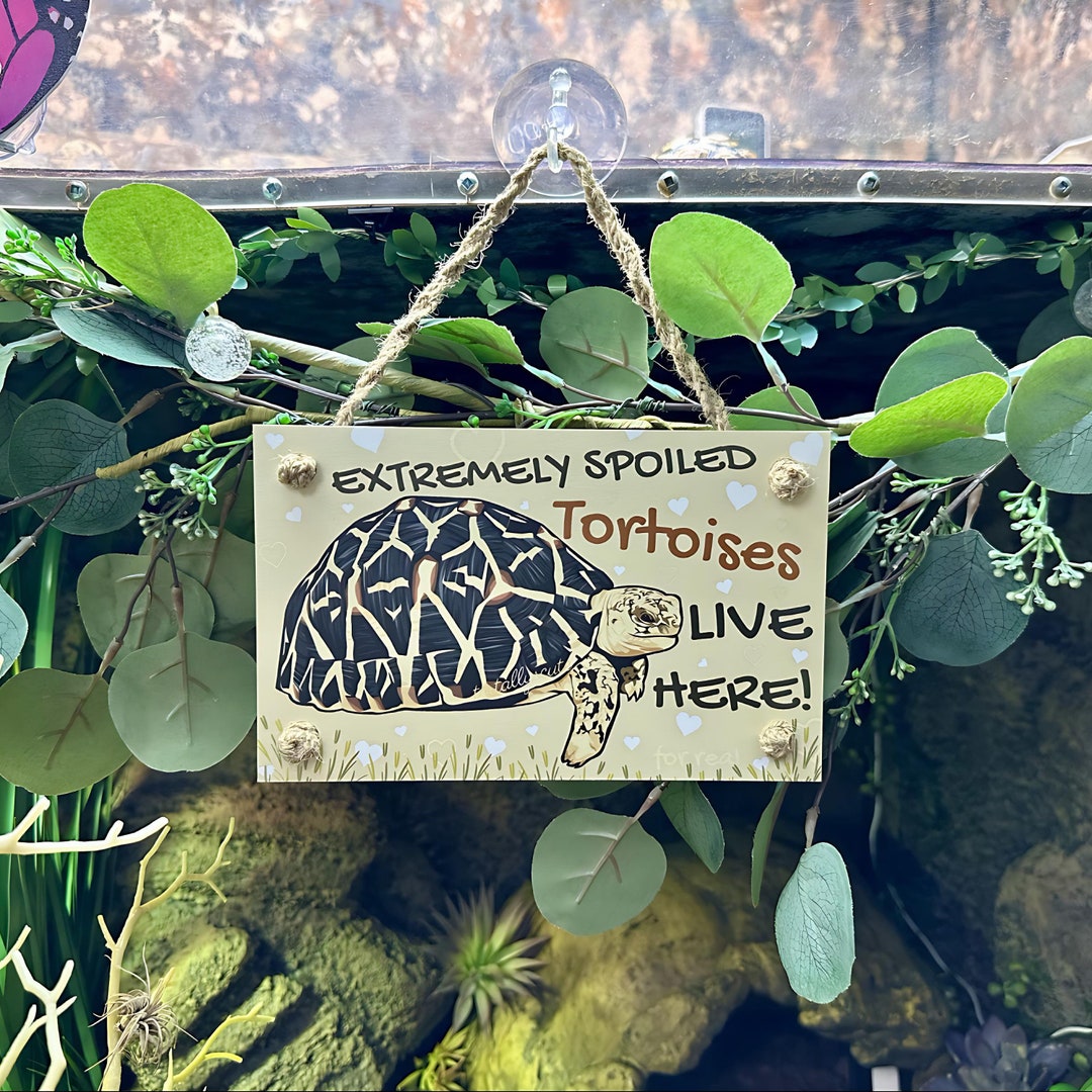 Spoiled Tortoises Live Here Sign: Indoor/outdoor PVC Enclosure Decor ...