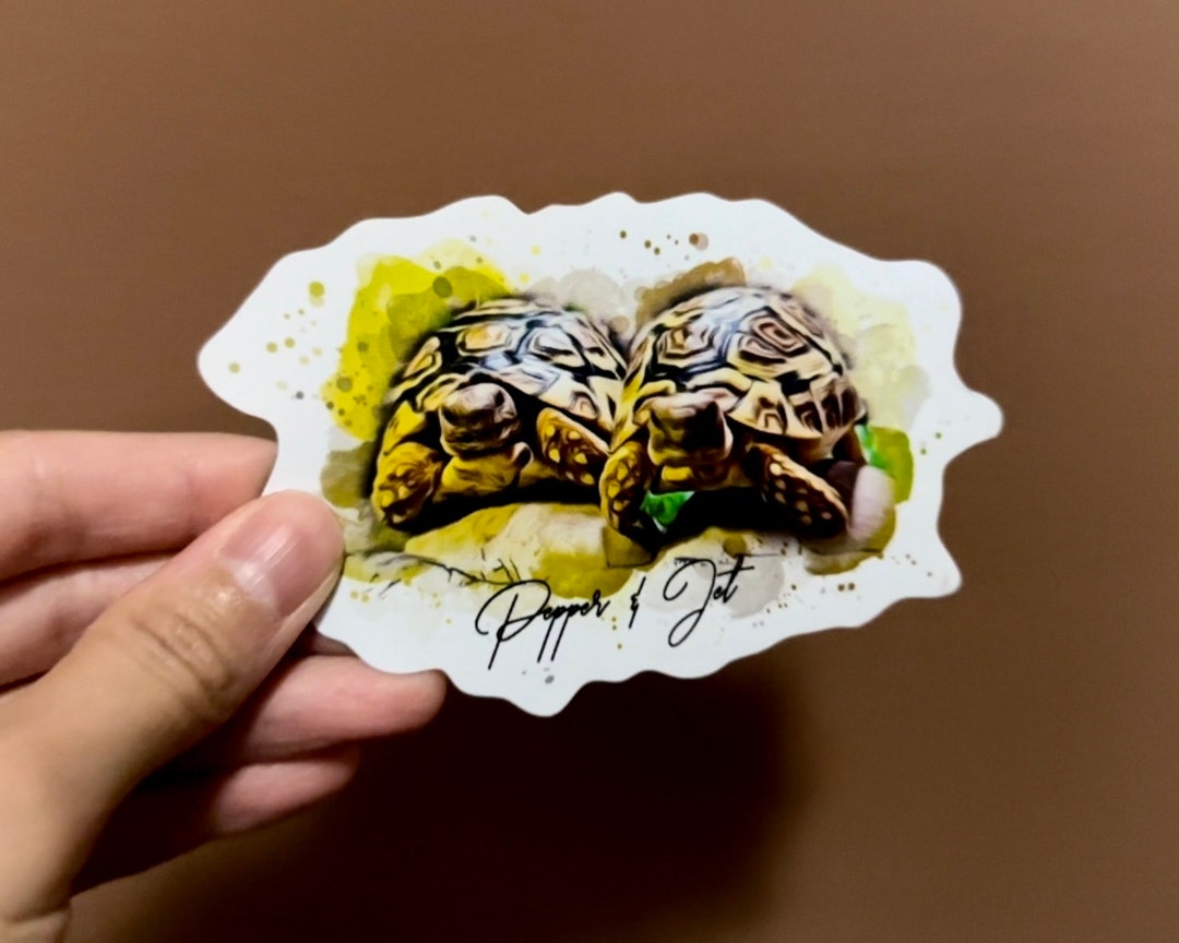 Tortoise Magnet Jet and Pepper - Etsy