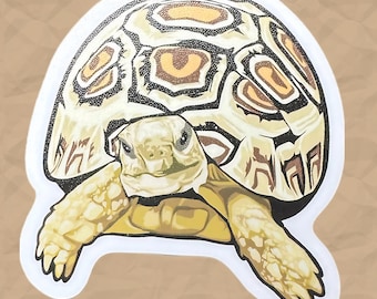 Happy Tortoise Sticker | Removable Die-Cut Laminated White Vinyl Sticker | Tortoise/Turtle Sticker