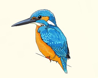 May include: A detailed illustration of a blue and orange Common Kingfisher, also known as Alcedo atthis or Cruidín. The bird is perched on a branch, facing right, with its beak open.