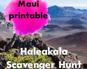 Haleakalā Scavenger Hunt for Kids, Maui National Park Activity PDF, Printable Hawaii Volcano Learning Game, Outdoor Family Travel Worksheet
