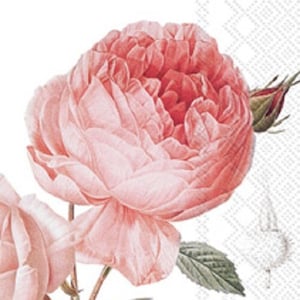 Pink Floral Decoupage Napkins: Elisabeth Rose Design, Guest Size