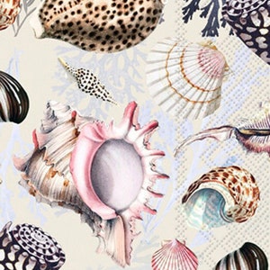 Seashells, Coastal, Beach, Nautical, Sand and Surf, Decoupage Napkin 8.25&quot; x 4.5&quot; Guest Size Scrapbooking, Journals, Paper Collage,