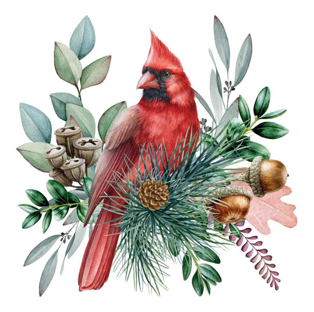 Red Cardinal Decoupage Napkin, Bird, Evergreen, Paper Collage, Cocktail ...